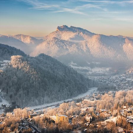 Chalet Villa Pod Jemiola Szczawnica Eksteriør bilde