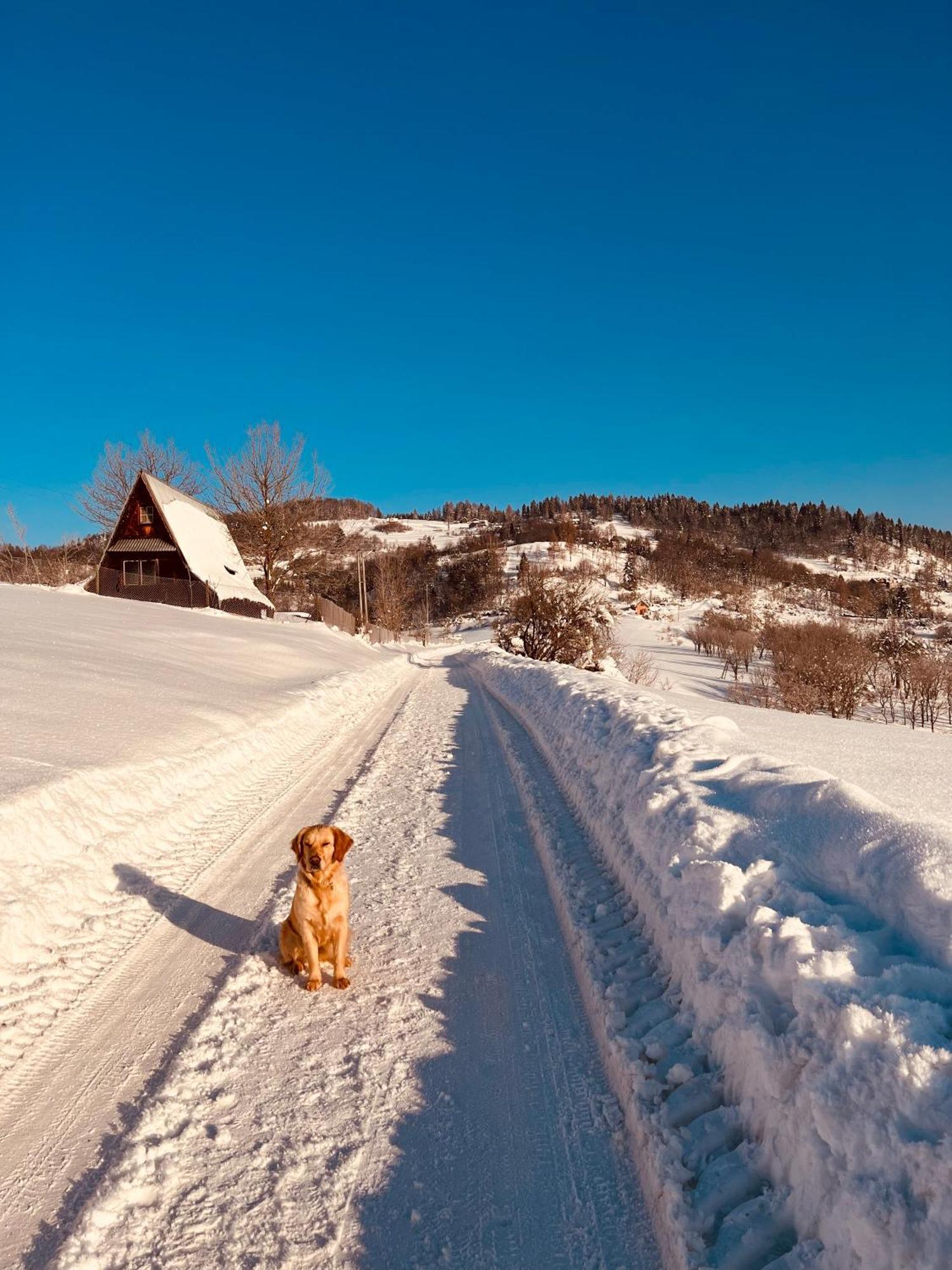 Chalet Villa Pod Jemiola Szczawnica Eksteriør bilde